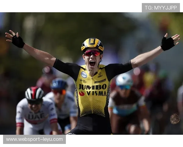 菲利普·霍洛什科：斯洛伐克前锋的职业生涯、国家队表现与未来展望