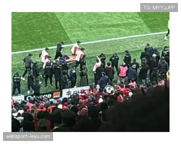 非洲杯裁判争议再升级，判罚引球迷激烈讨论