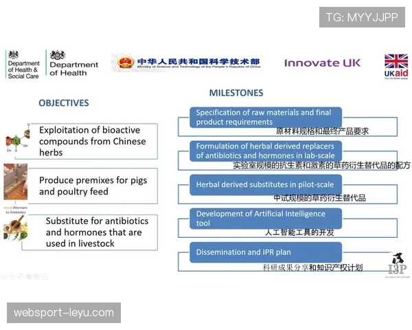 诺丁汉未来规划：推动可持续发展与智能城市建设的创新愿景
